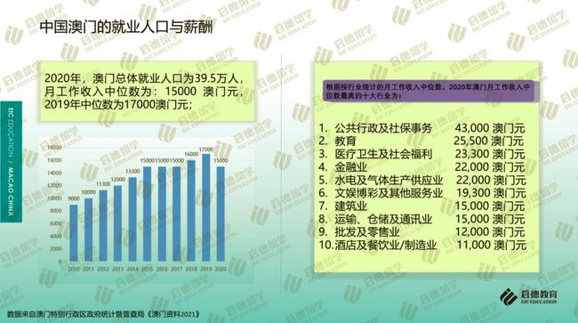 新澳门免费全年资料查询，全面释义与落实的探讨