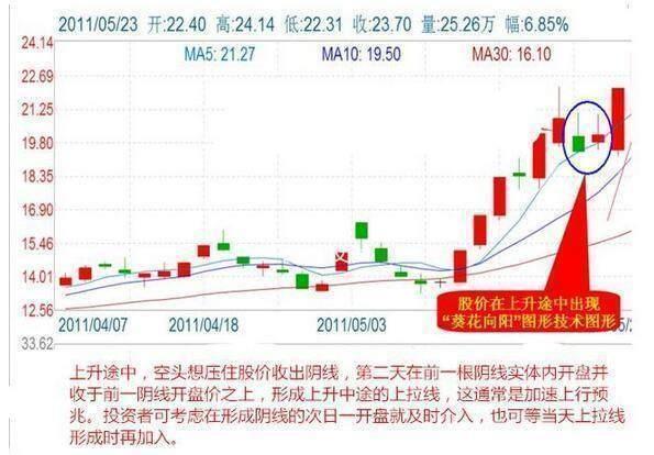 澳门管家婆100%精准，全面贯彻解释落实的秘诀