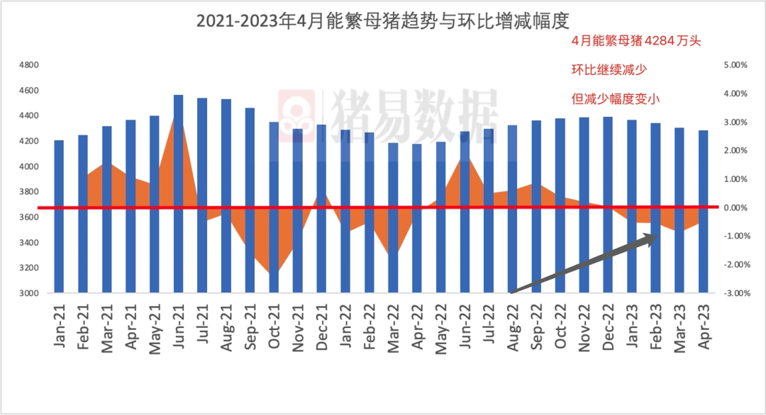 最新能繁母猪存栏数据，揭示行业趋势与未来发展