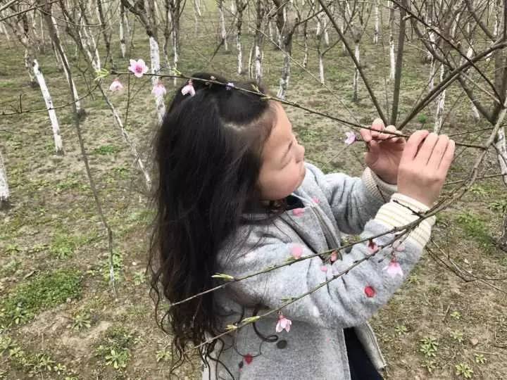 桃花族最新网址，探索与体验