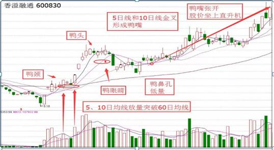 香溢融通最新消息全面解析