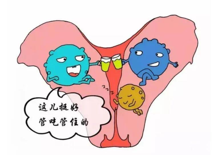 子宫腺肌症最新治疗方法研究与应用