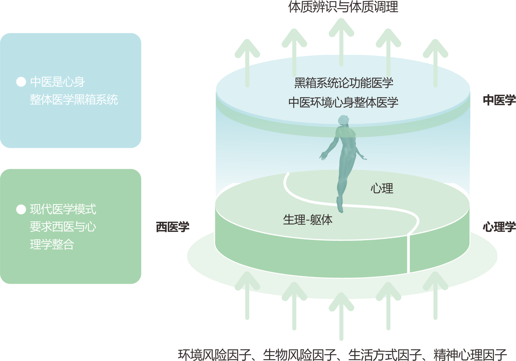 干细胞最新消息，引领生物医学新时代