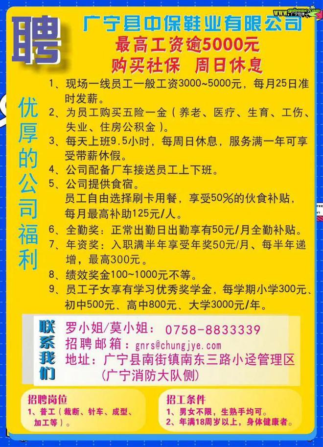 英德小虫网最新招聘——探索职业发展的新机遇