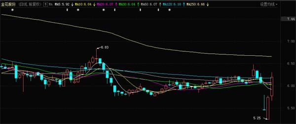 金花股份最新消息全面解析