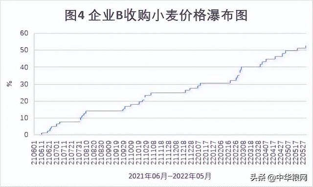 山东今日小麦最新价格动态分析