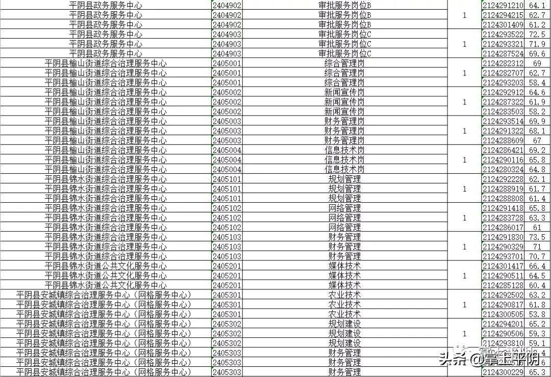 平阴最新在线招聘信息概览